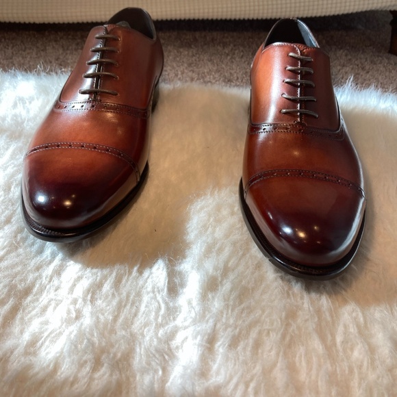 Brand New Paul Evans Brando Semi-Brogue Oxford - Havana Brown main image 13